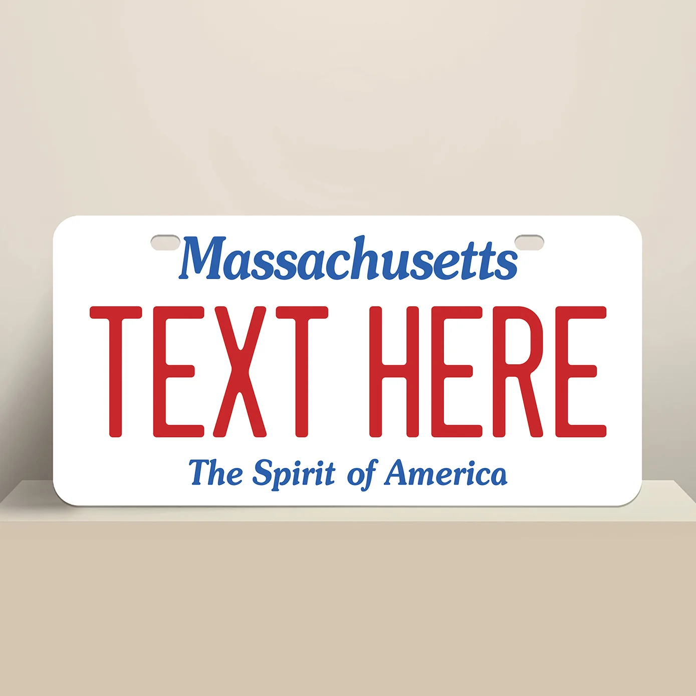 Massachusetts License Plate 1993 Issue