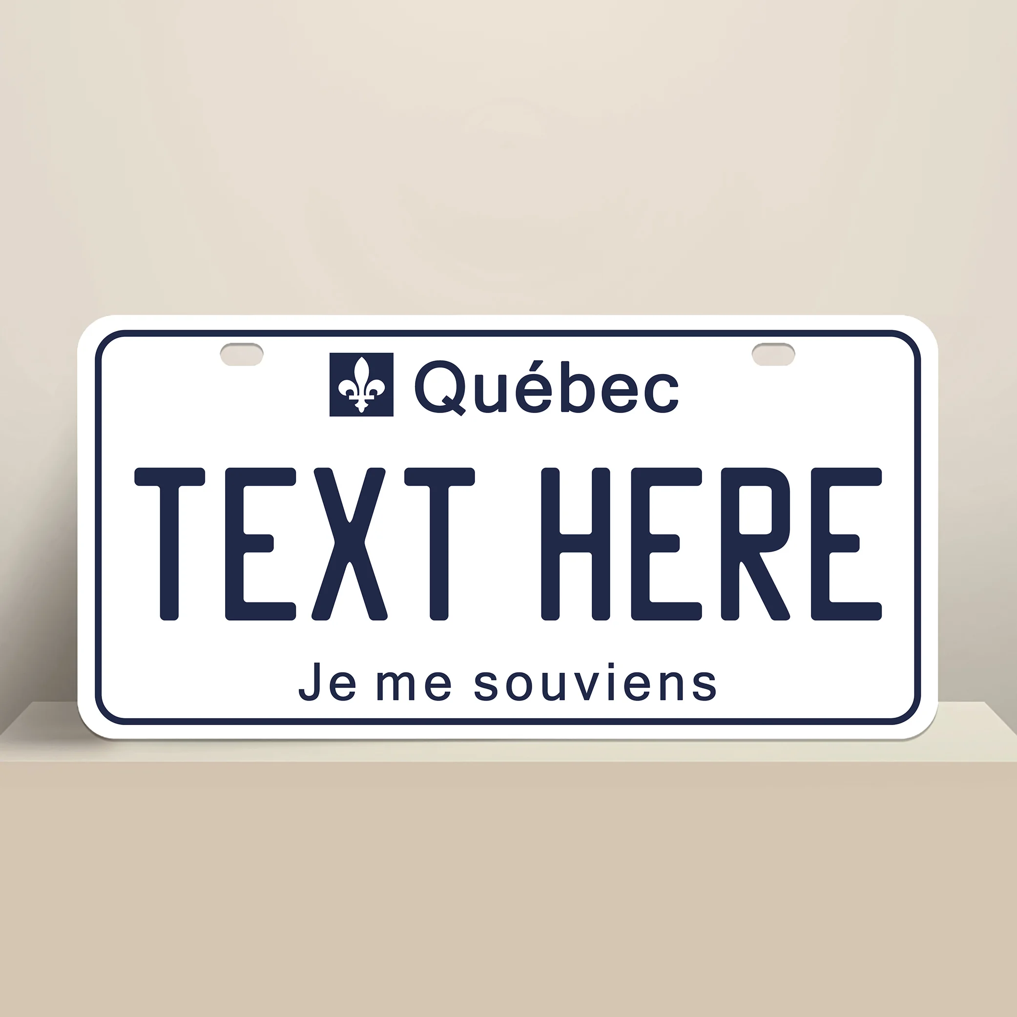 Québec License Plate 1990s